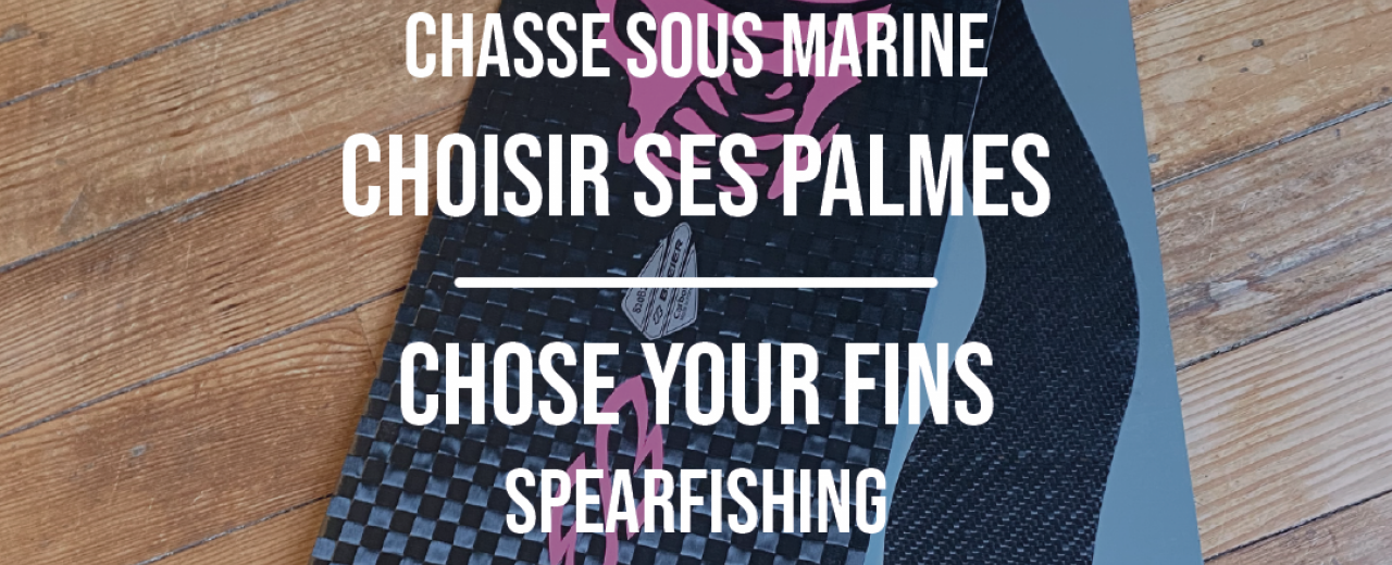 Comment choisir ses palmes de chasse sous-marine?
