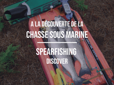 Discovering Spearfishing