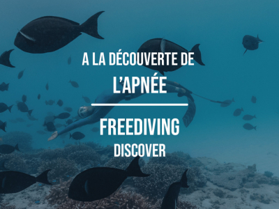 Discovering Freediving